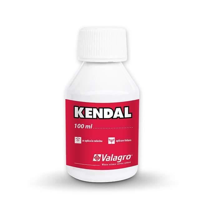Kendal 100 ml Căpșuni EU